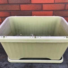きゅうり栽培セット