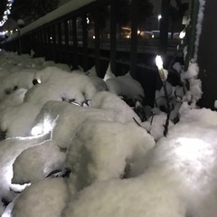 京都南部周辺　不登校教育相談　の画像