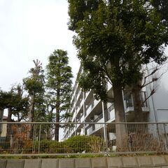 ☆彡　グリーンハウス南柏　☆彡　〖 和室6.2帖・和室6.2帖・...