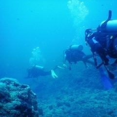 真夏の海へダイビングしに行こう!!