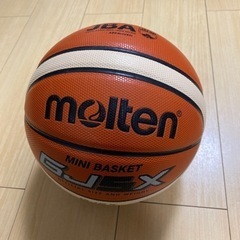 バスケットボール(屋内用)の画像