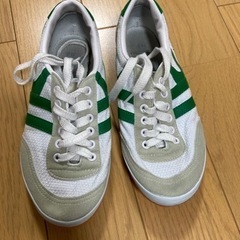 中学校で使用する体育館シューズの画像