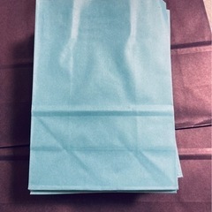 カラー紙袋　大小サイズあり　100枚〜の画像