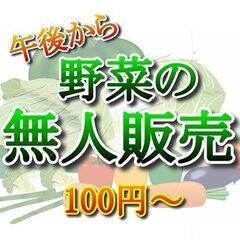 ⭕️【無人販売】4月🕗朝から営業(24時間)　旬のお野菜　100...