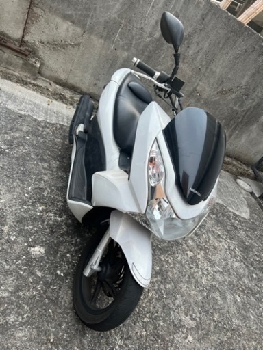 PCX 白色　人気