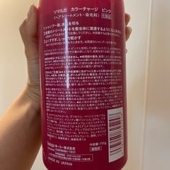 ピンシャ