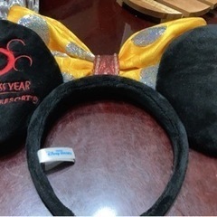 何年前にディズニーに行った時に買いました