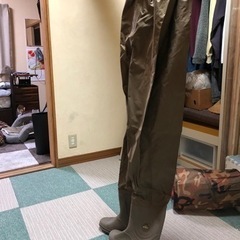 胴長　決まりました