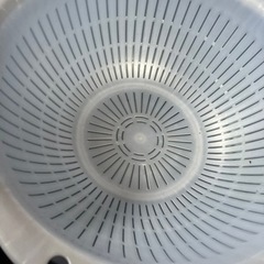 ザル