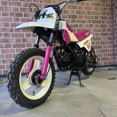 PW50 キャンプに子供に！　希少