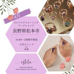 4月(前半) エレクトロフォーミング ワークショップの画像