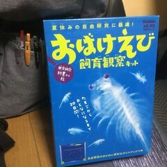 ブラインシュリンプ　お化け　えび　飼育キット　熱帯魚　えさ　ミジ...