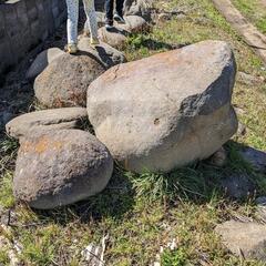 庭石・大きな石・岩・小さな石をもらってください