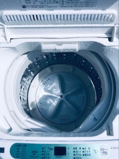 ✨2019年製✨ 1257番 ヤマダ電機✨電気洗濯機✨YWM-T45A1‼️