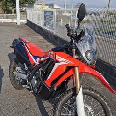 CRF250ラリー MD44の画像