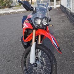 CRF250ラリー MD44の画像