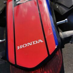 CRF250ラリー MD44の画像