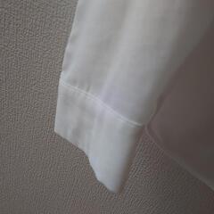 ブラウスMサイズ（ＶＩＳ）の画像