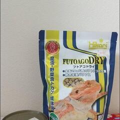 爬虫類用餌