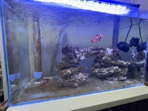 600水槽　オーバーフロー　セット