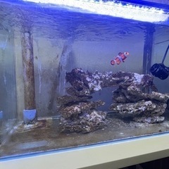 600水槽　オーバーフロー　セット　