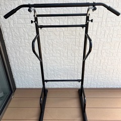 懸垂　ぶら下がり健康機の画像