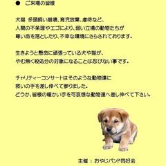 5/7(日) 出演者募集中！ジャンル問わず　オヤジバンド動物愛護チャリティコンサート at 常総市生涯学習センター - イベント