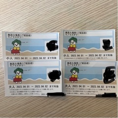 ハワイアンズ入場券4枚セット4/2