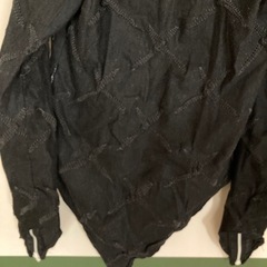 専用　サイバードッグの画像