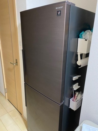 SHAP 冷蔵庫 2019年製　プラズマクラスター搭載　2ドア