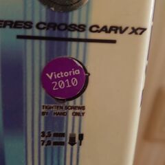 ジュニアスキー、靴セットの画像