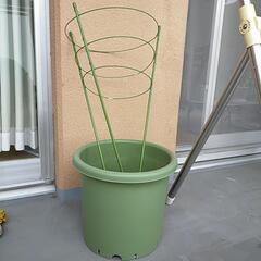 野菜　プランター　トマト栽培