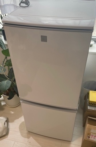 SHARP冷蔵庫　値引き交渉可
