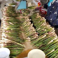 野菜収穫、仕分け、軽作業　※シーズンによって作業内容は変わりますの画像