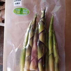 野菜収穫、仕分け、軽作業　※シーズンによって作業内容は変わりますの画像