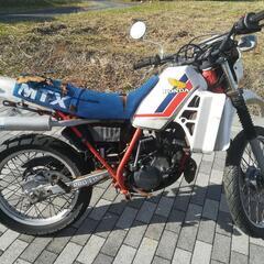 ☆ホンダ　希少　MTX200R　車体　Honda　2ストの画像