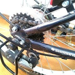 【終了】折りたためない折りたたみ自転車の画像