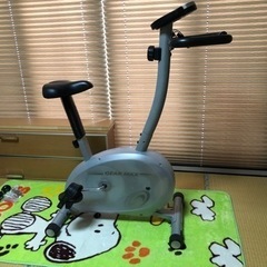 エアロバイク型番不明、取説無し