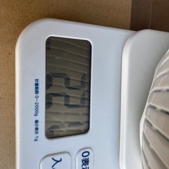 アイヌネギ（行者ニンニク）の画像