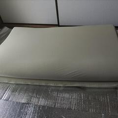 ☆値下げ【4月9日処分予定。お早めに】トゥルースリーパーライト3...