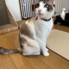 仲良し姉妹と一緒にずっとのおうち決定！