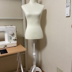 レディーストルソー