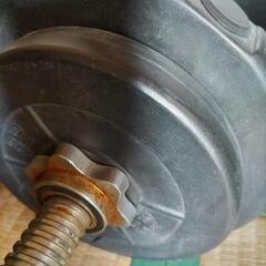 ダンベル、無料でお譲りします。の画像