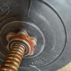 ダンベル、無料でお譲りします。の画像