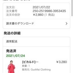 大人のレインコート【新品未使用】の画像