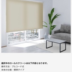 ロールスクリーン オーダー ロールカーテン 間仕切り 採光 カーテン　日本製の画像