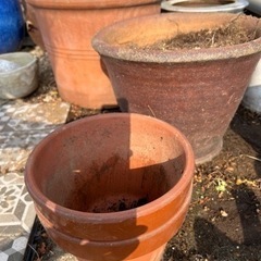 テラカッタ鉢植え　セット　 値下げしました。
