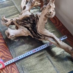 流木、お値下げしました！の画像