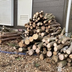 【引取り来ていただければ無料！】樹木の枝・薪差し上げます！