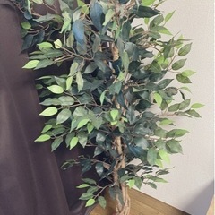植物、フェイクツリー、インテリアに！最終値下げ！